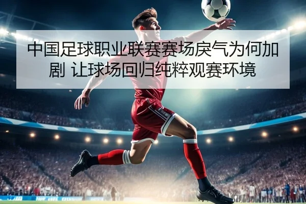 中国足球职业联赛赛场戾气为何加剧 让球场回归纯粹观赛环境